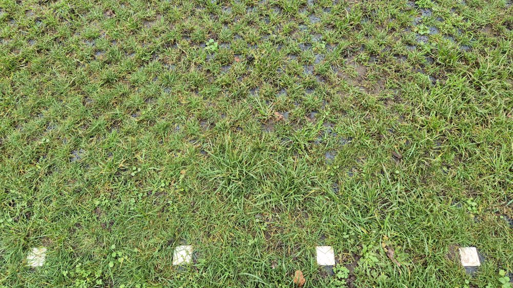 PERFO with white marker studs for parking bay